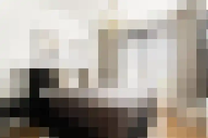 Van Boshuizenstraat 147 Amsterdam thumbnail 23