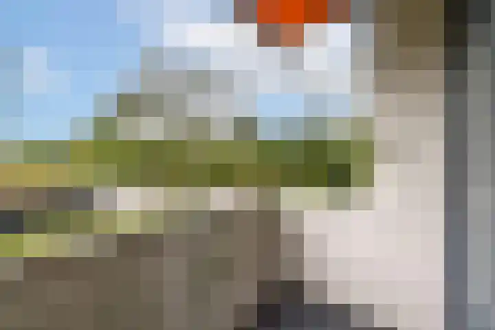 Van Boshuizenstraat 15 Amsterdam thumbnail 16