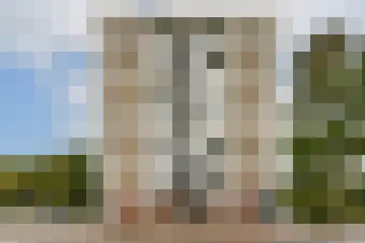Van Boshuizenstraat 15 Amsterdam thumbnail 21