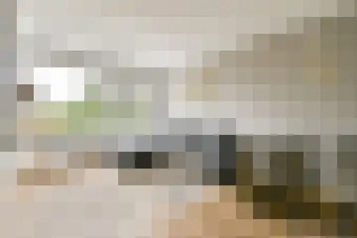Van Boshuizenstraat 15 Amsterdam thumbnail 5