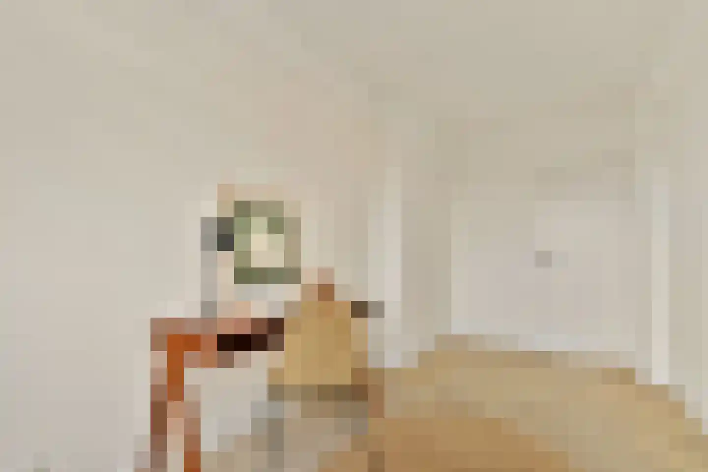 Van Boshuizenstraat 301 Amsterdam thumbnail 17
