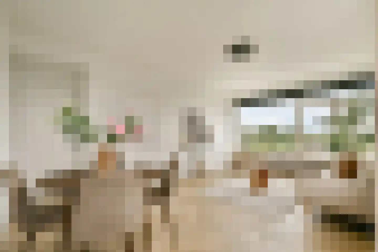 Van Boshuizenstraat 301 Amsterdam thumbnail 7