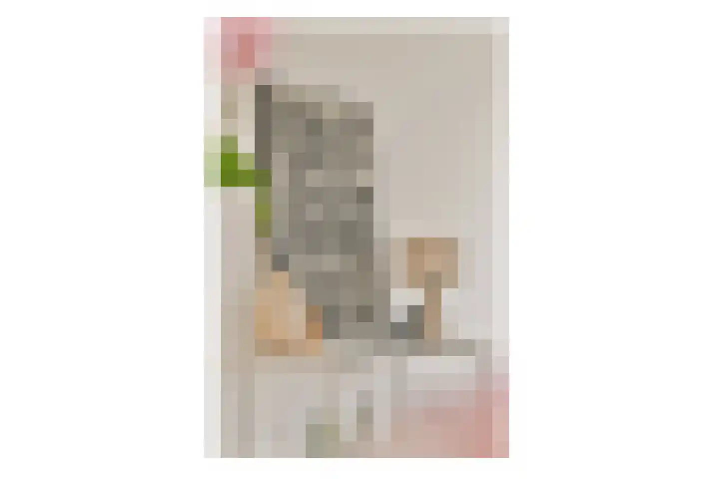 Van Boshuizenstraat 301 Amsterdam thumbnail 9