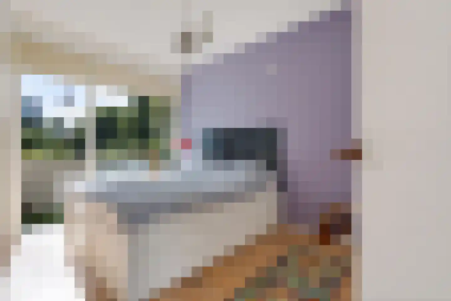 Van Boshuizenstraat 337 Amsterdam thumbnail 16