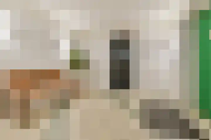 Van Boshuizenstraat 349 Amsterdam thumbnail 19