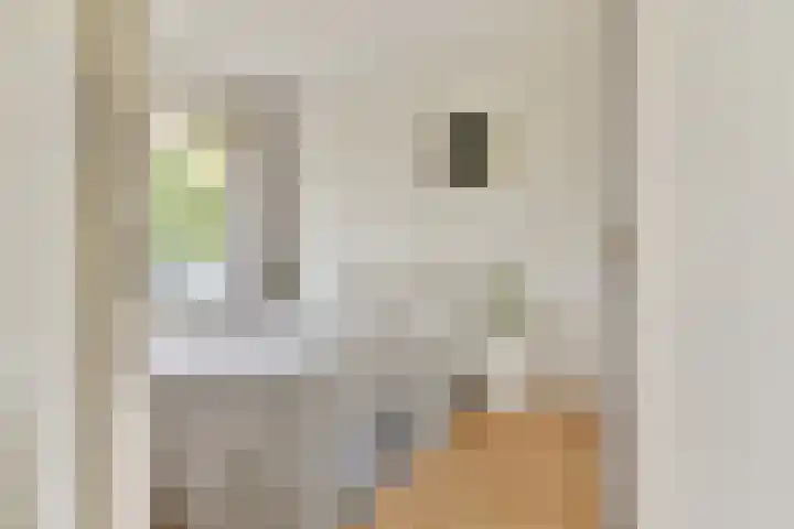 Van Boshuizenstraat 349 Amsterdam thumbnail 8