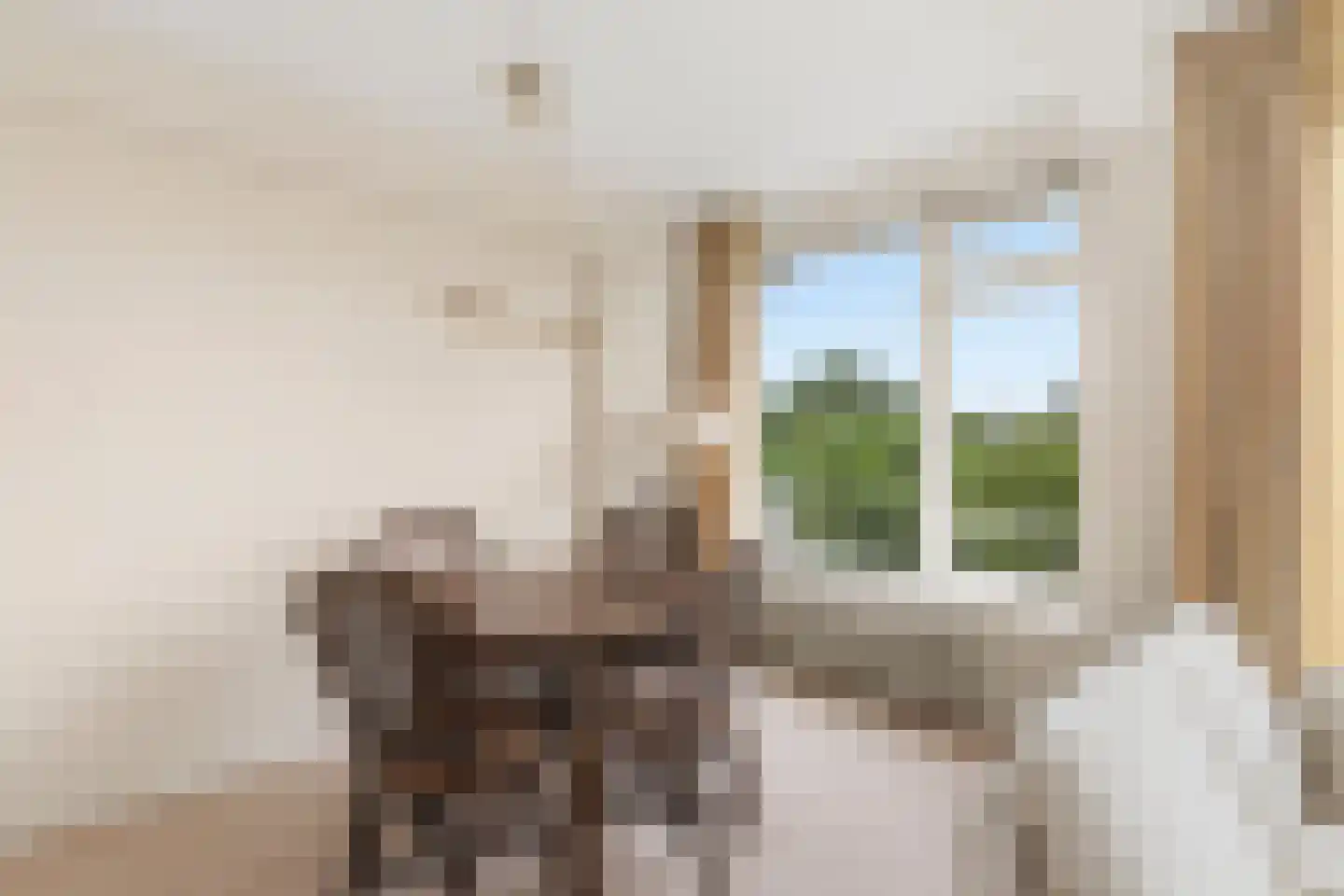 Van Boshuizenstraat 375 Amsterdam thumbnail 10