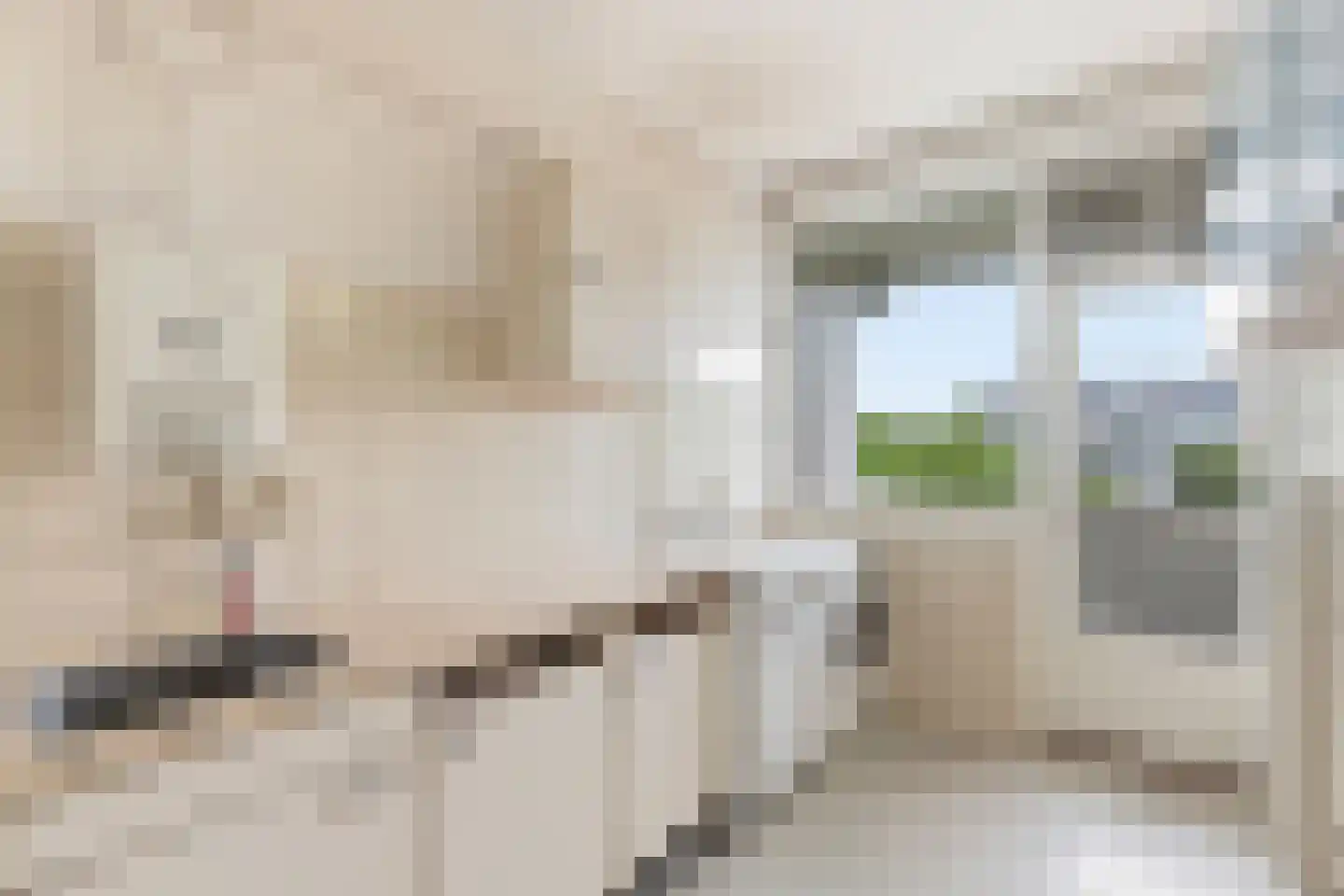 Van Boshuizenstraat 375 Amsterdam thumbnail 16