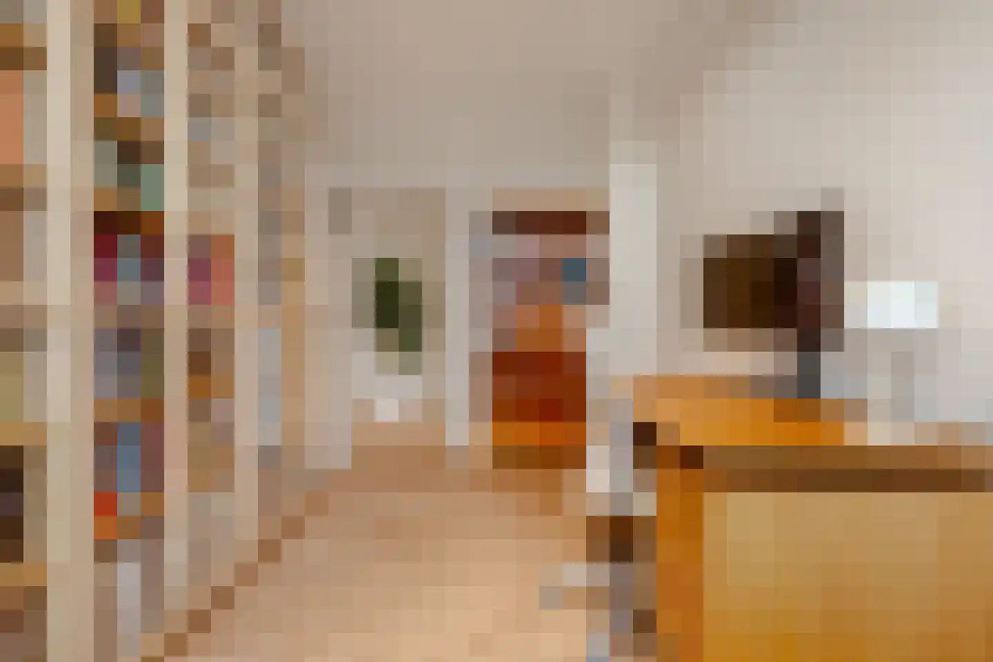 Van Boshuizenstraat 377 Amsterdam thumbnail 15