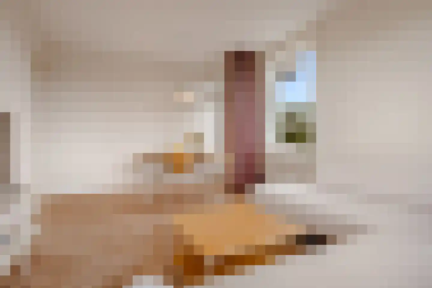Van Boshuizenstraat 377 Amsterdam thumbnail 4