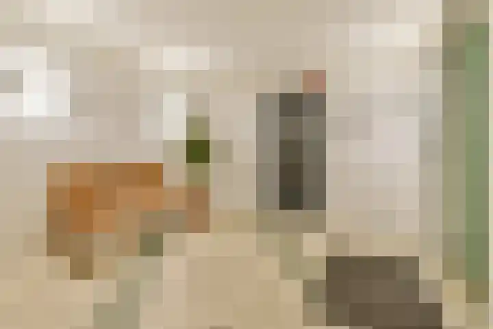 Van Boshuizenstraat 405 Amsterdam thumbnail 4