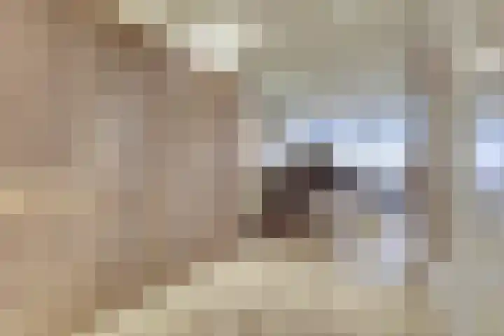 Van Boshuizenstraat 413 Amsterdam thumbnail 5