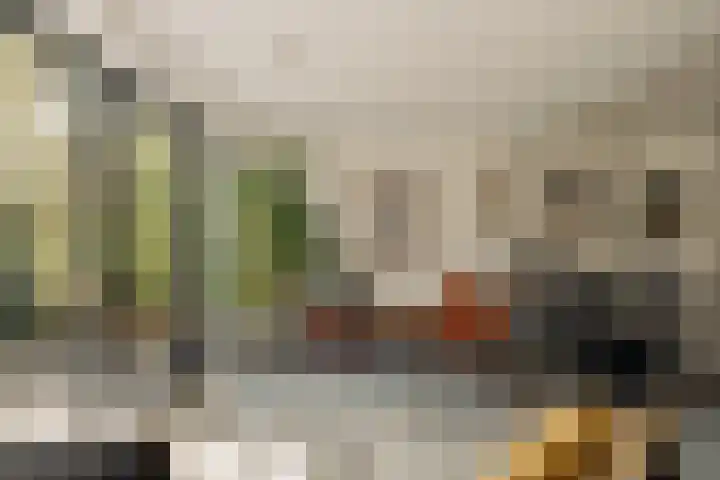 Van Boshuizenstraat 423 Amsterdam thumbnail 11