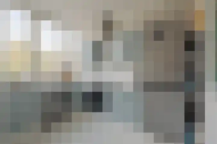 Van Boshuizenstraat 423 Amsterdam thumbnail 21