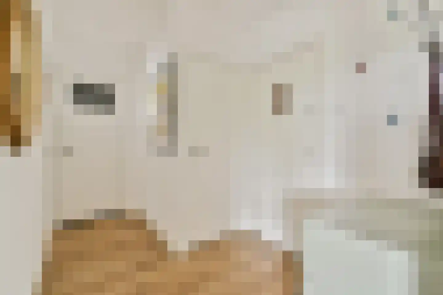 Van Boshuizenstraat 47 Amsterdam thumbnail 20