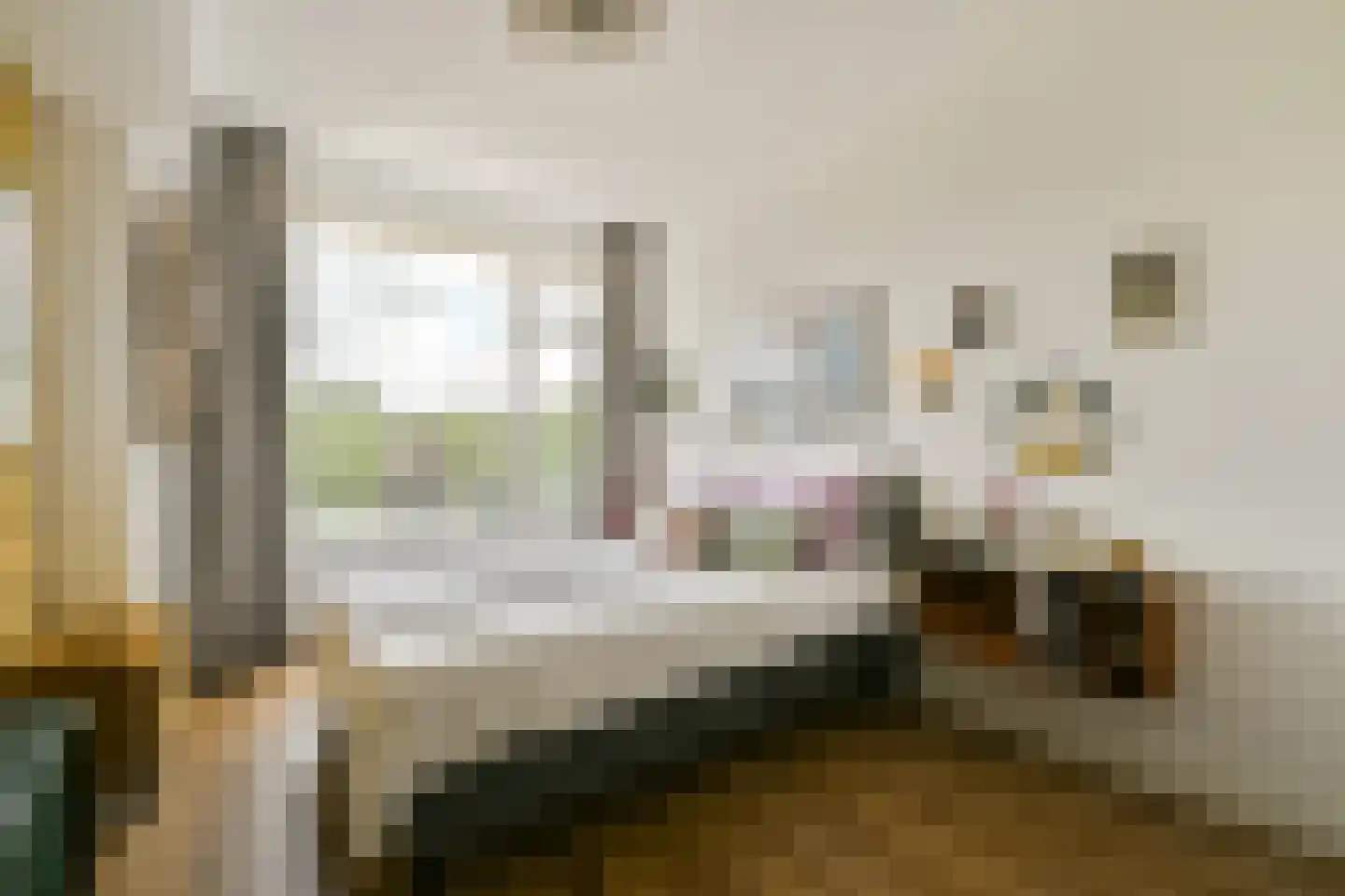Van Boshuizenstraat 47 Amsterdam thumbnail 21