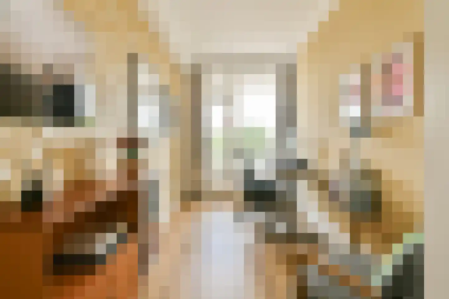 Van Boshuizenstraat 47 Amsterdam thumbnail 24