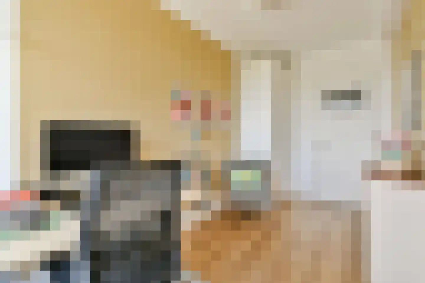 Van Boshuizenstraat 47 Amsterdam thumbnail 25