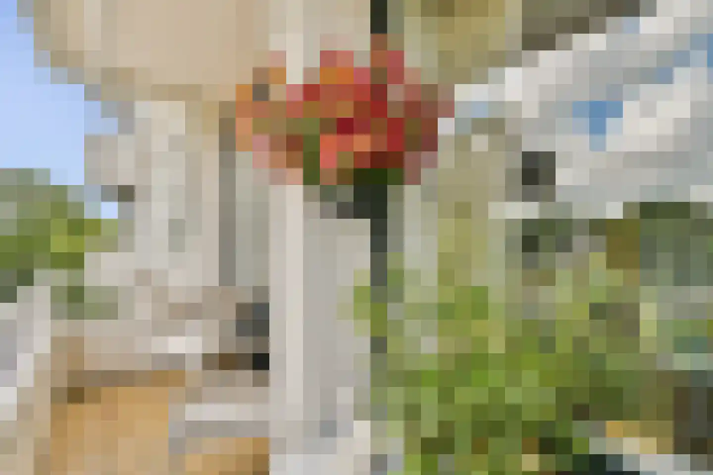 Van Boshuizenstraat 47 Amsterdam thumbnail 4
