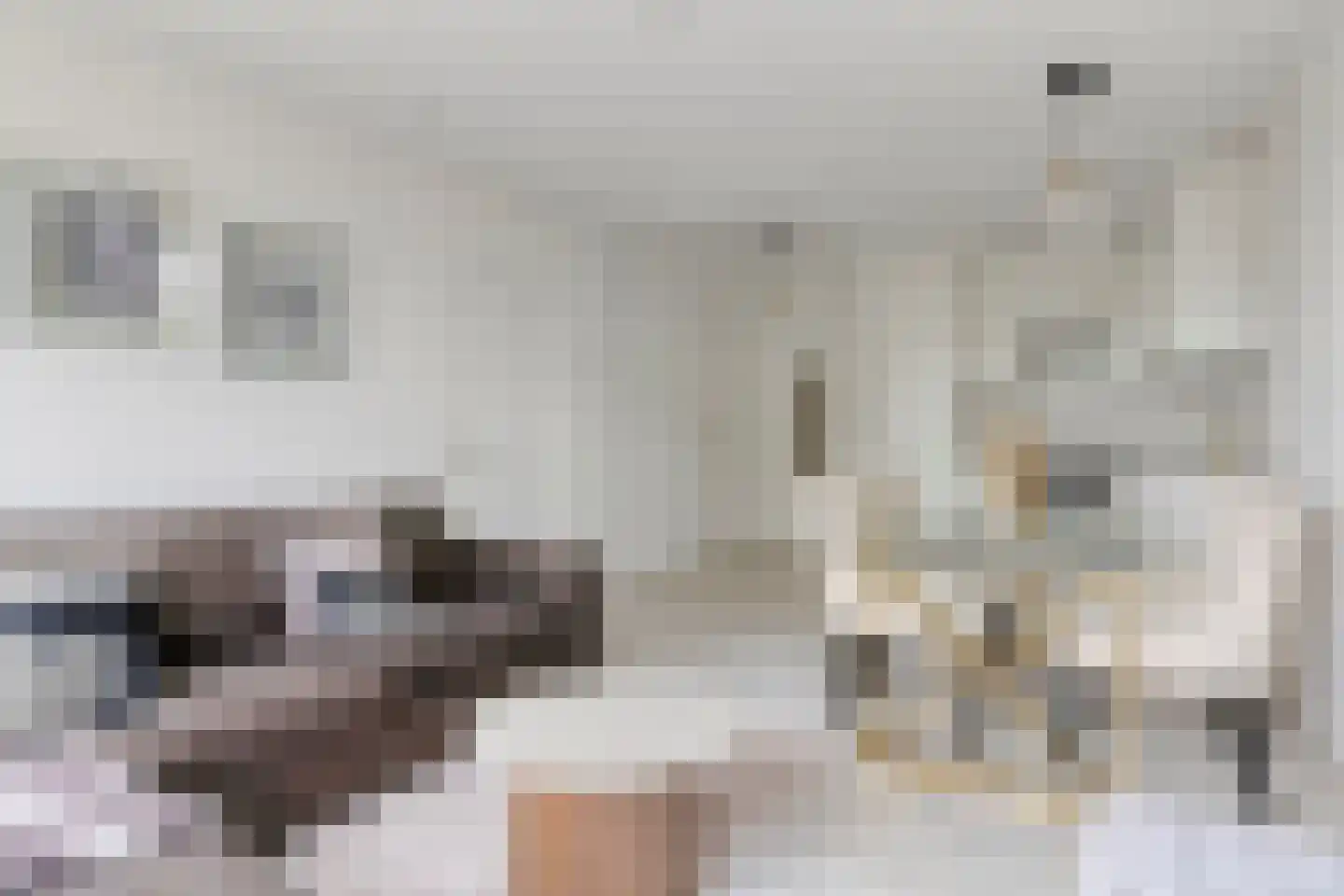 Van Boshuizenstraat 493 Amsterdam thumbnail 4