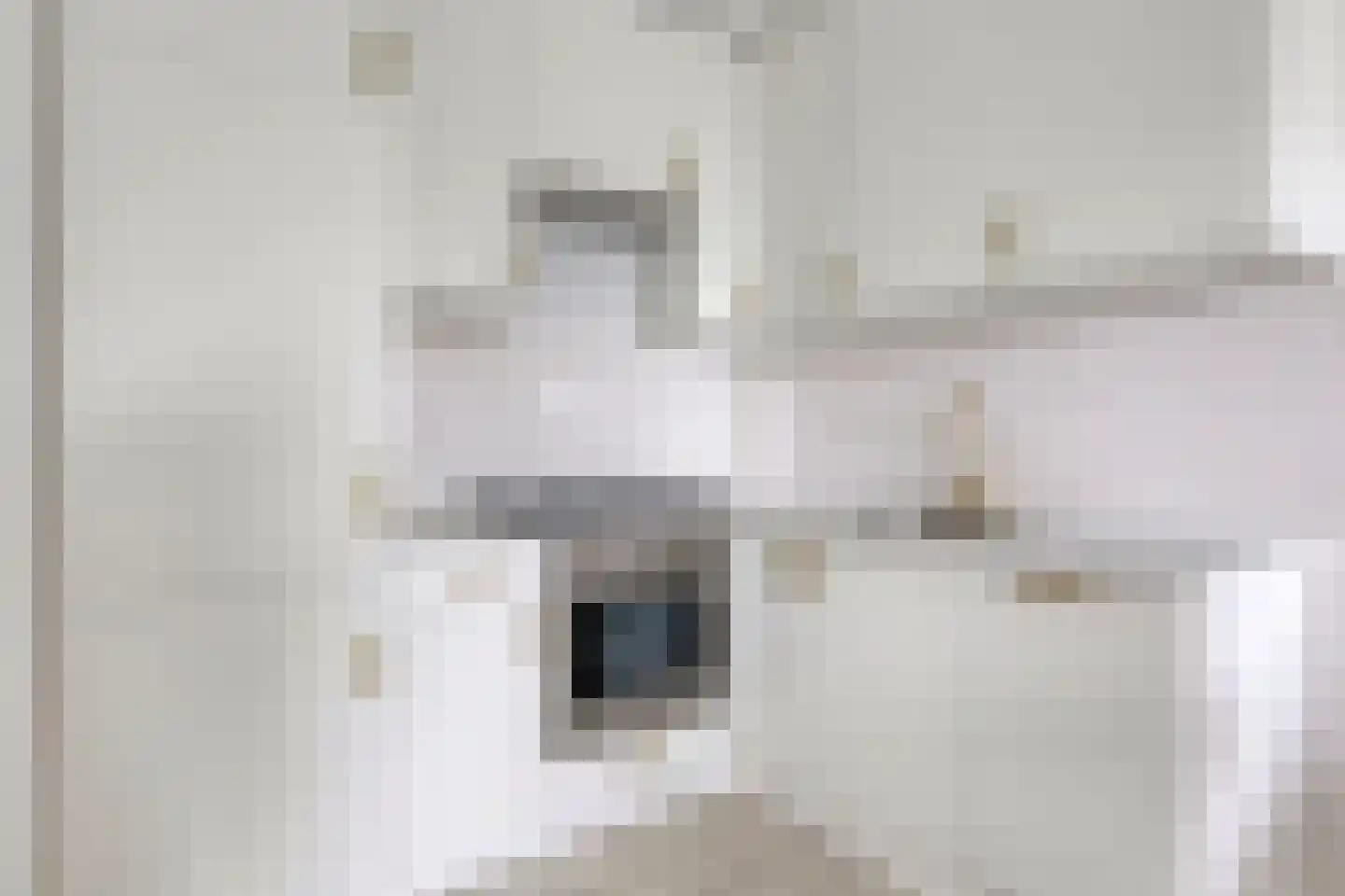 Van Boshuizenstraat 493 Amsterdam thumbnail 8