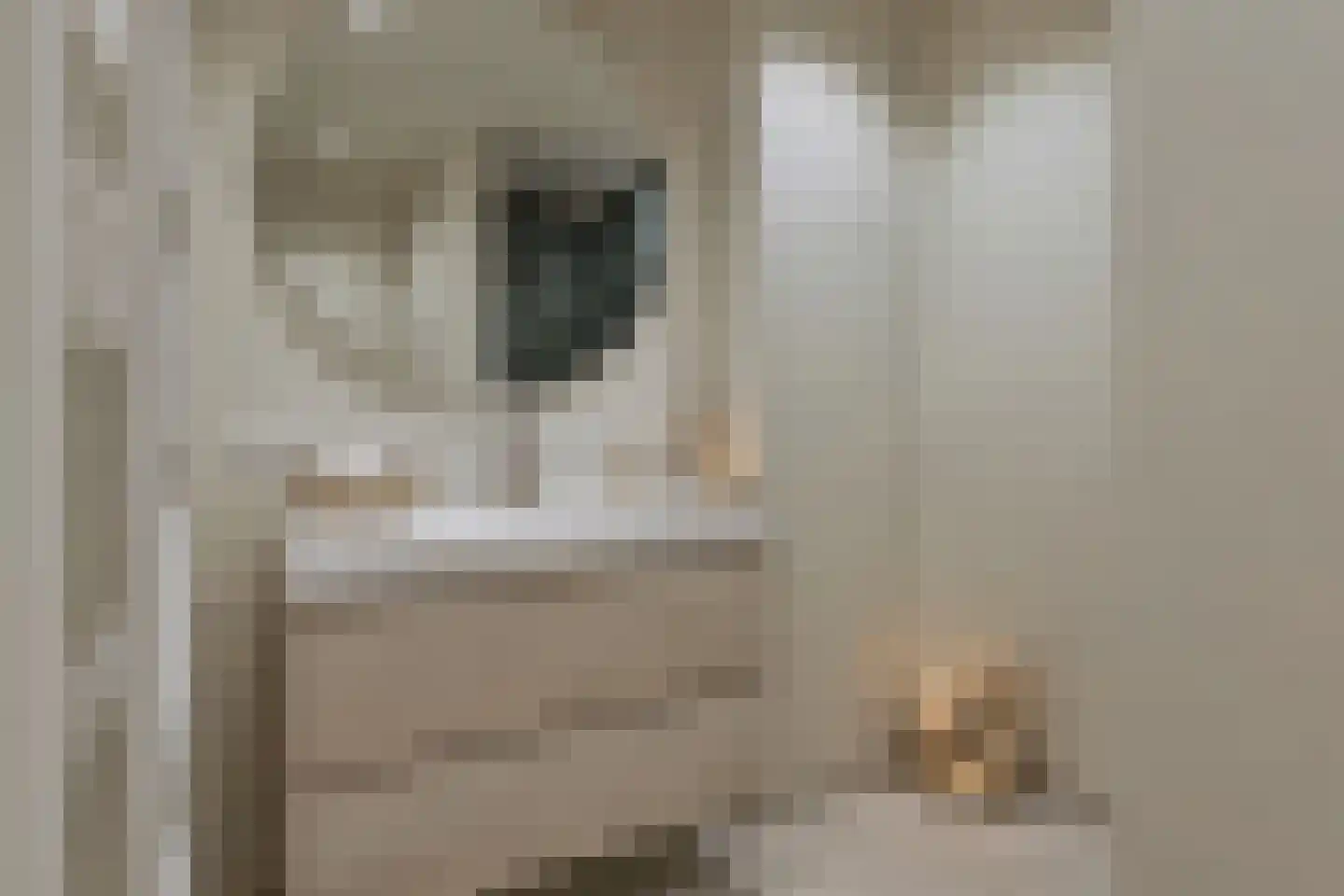 Van Boshuizenstraat 501 Amsterdam thumbnail 11