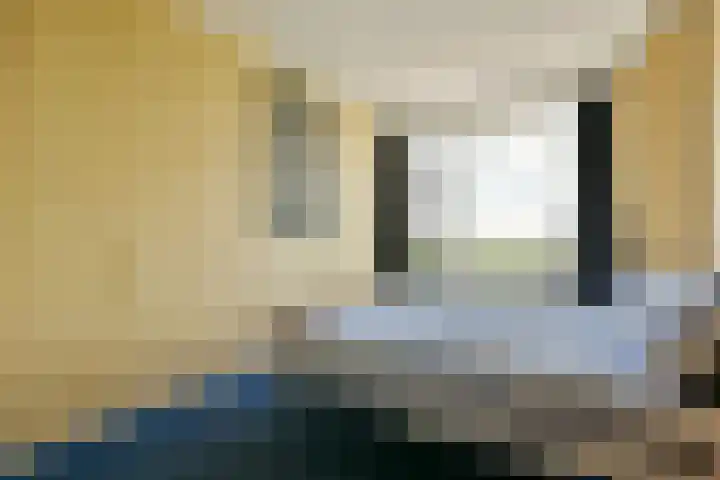 Van Boshuizenstraat 521 Amsterdam thumbnail 19