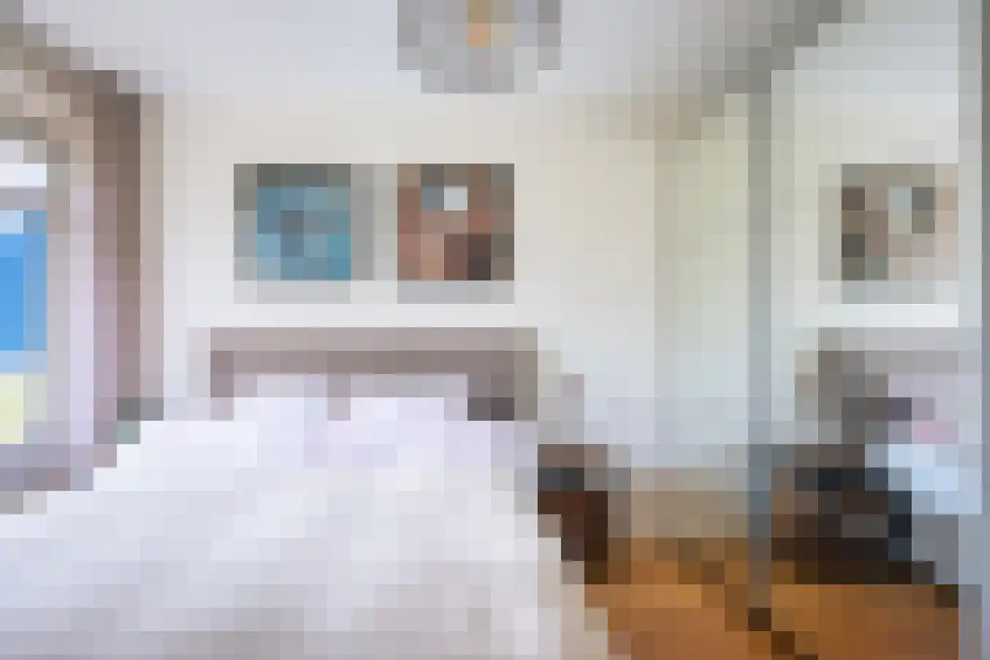 Van Boshuizenstraat 617 Amsterdam thumbnail 12