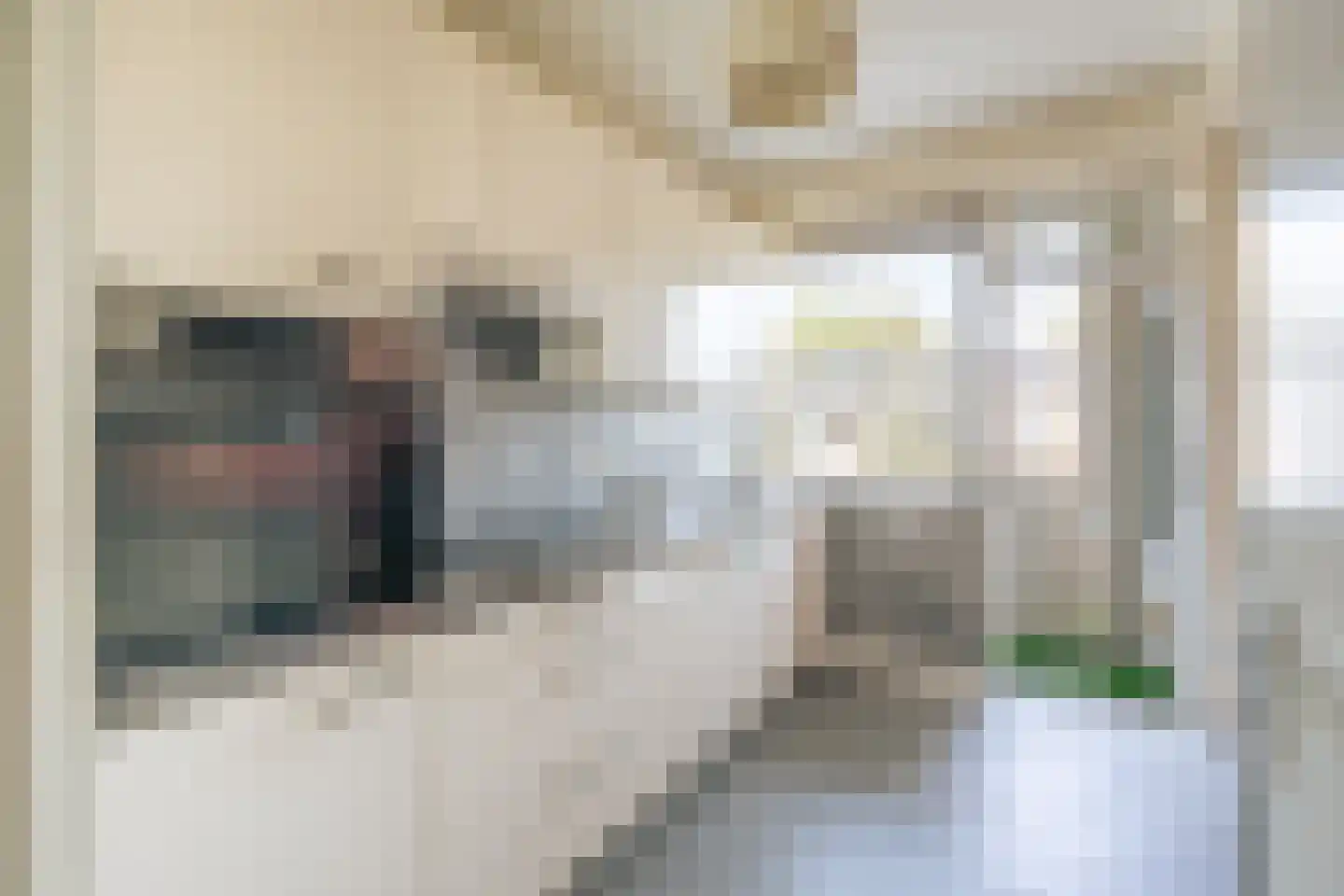 Van Boshuizenstraat 617 Amsterdam thumbnail 21