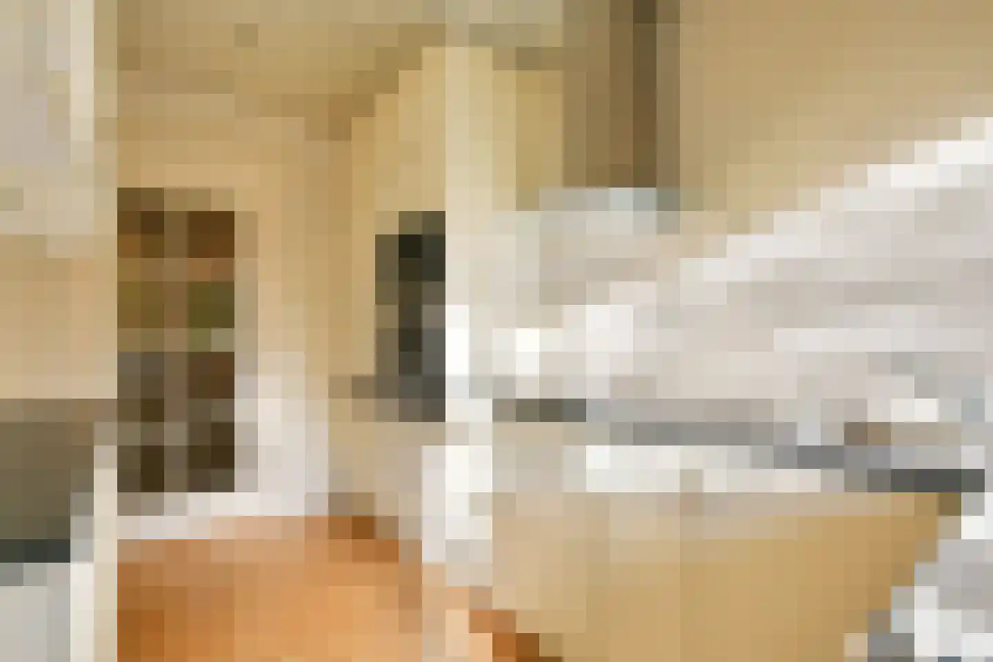Van Boshuizenstraat 7 Amsterdam thumbnail 12