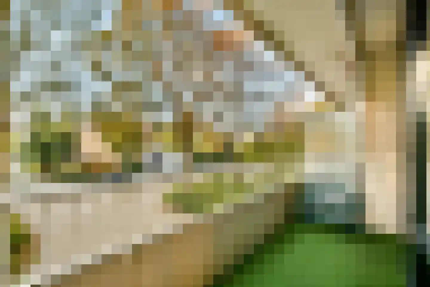 Van Boshuizenstraat 7 Amsterdam thumbnail 17