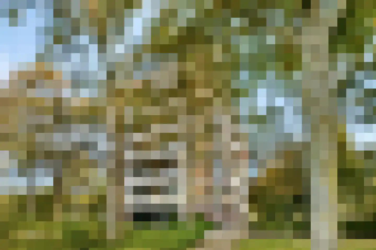 Van Boshuizenstraat 7 Amsterdam thumbnail 5