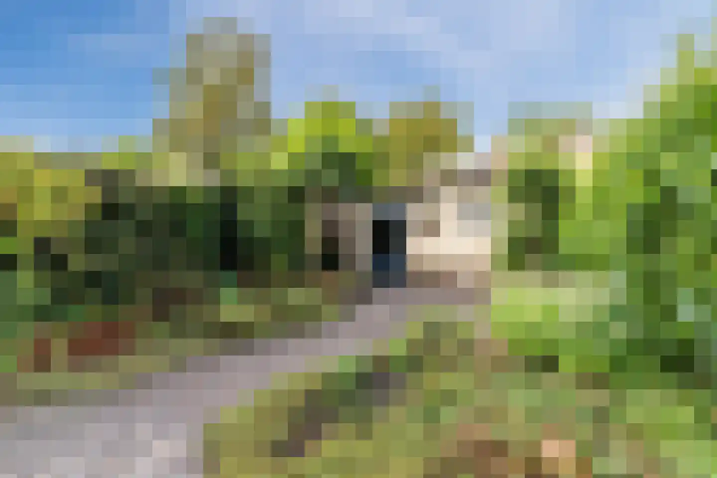 van Bossehof 15 Rijen thumbnail 23