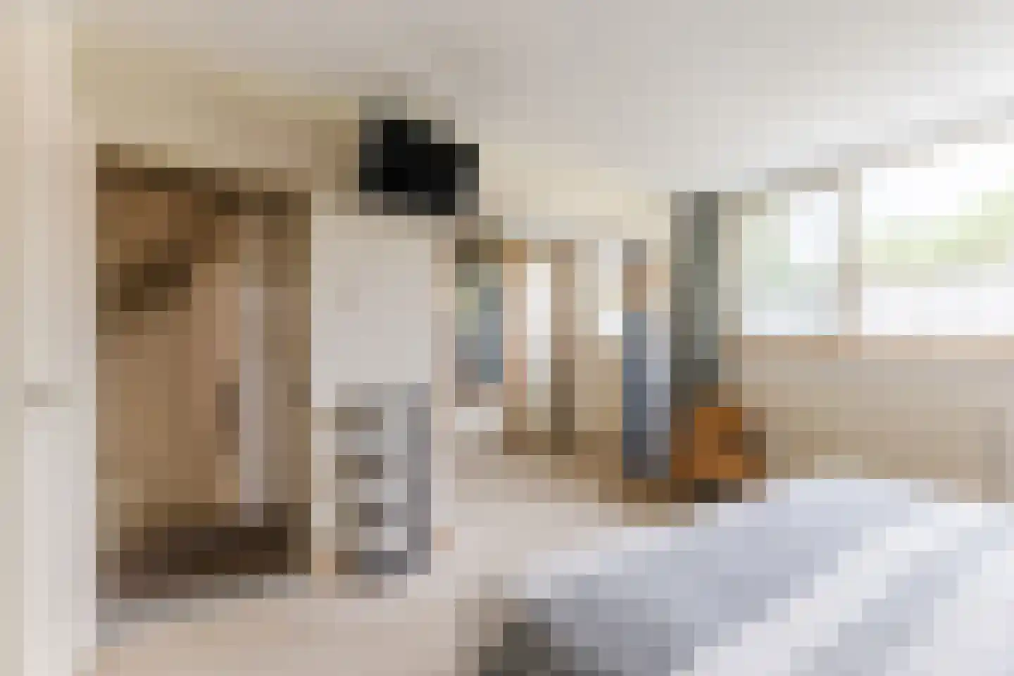 van Bossehof 15 Rijen thumbnail 27