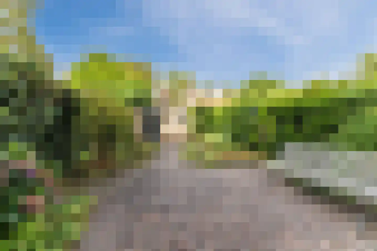 van Bossehof 15 Rijen thumbnail 4