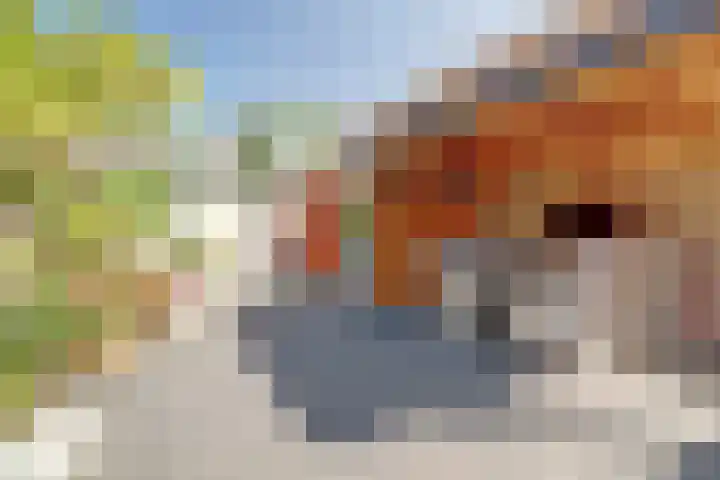 van Bossehof 16 Rijen thumbnail 31