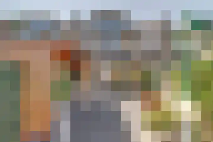 van Bossehof 16 Rijen thumbnail 35