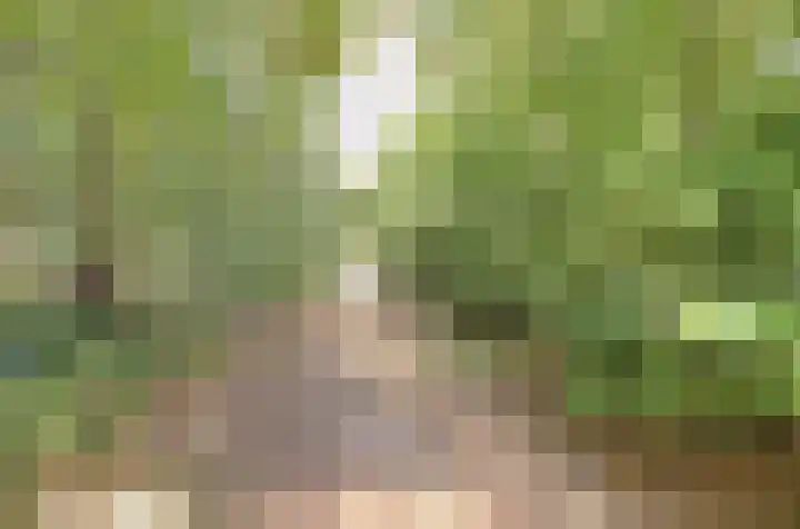 van Bossehof 16 Rijen thumbnail 38