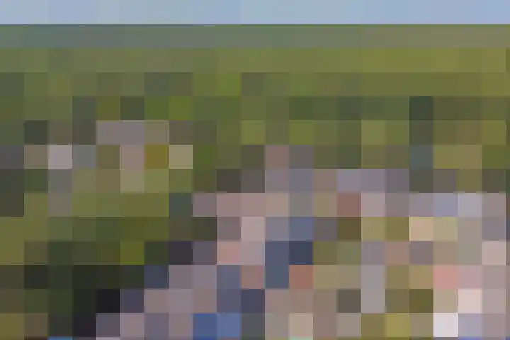 van Bossehof 16 Rijen thumbnail 4
