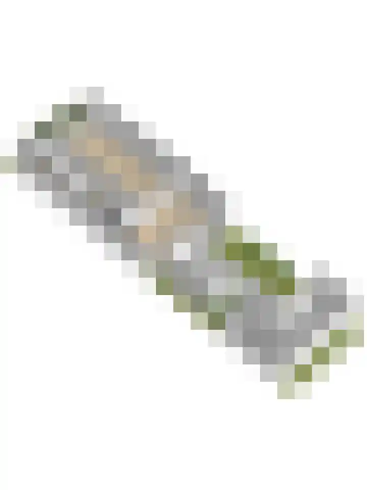 van Bossehof 16 Rijen thumbnail 40