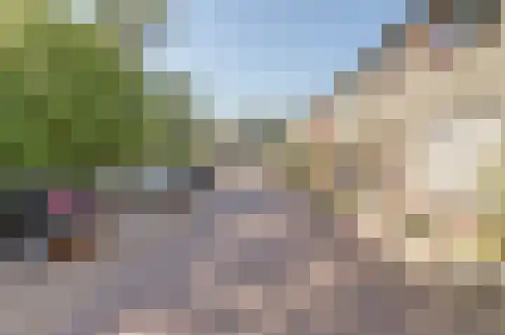 van Bossehof 16 Rijen thumbnail 5