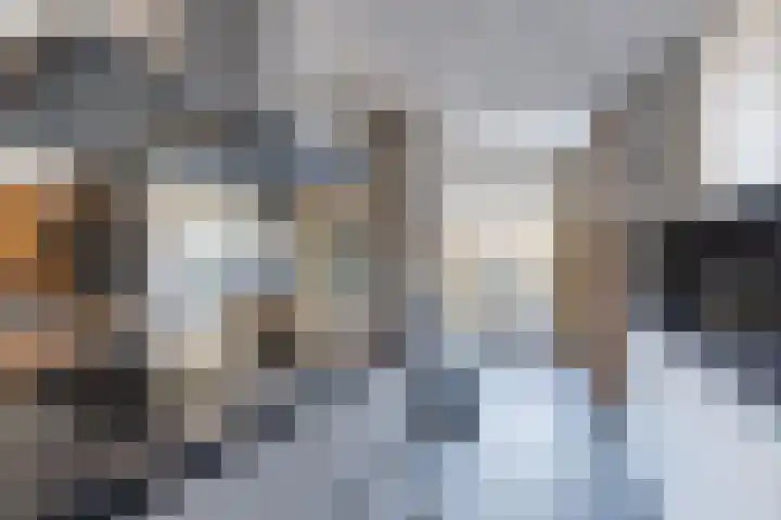 van Bossehof 20 Rijen thumbnail 17