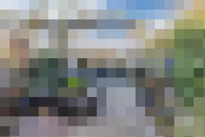 van Bossehof 20 Rijen thumbnail 20