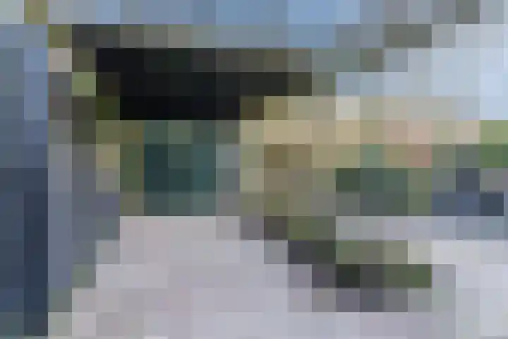 van Bossehof 20 Rijen thumbnail 24
