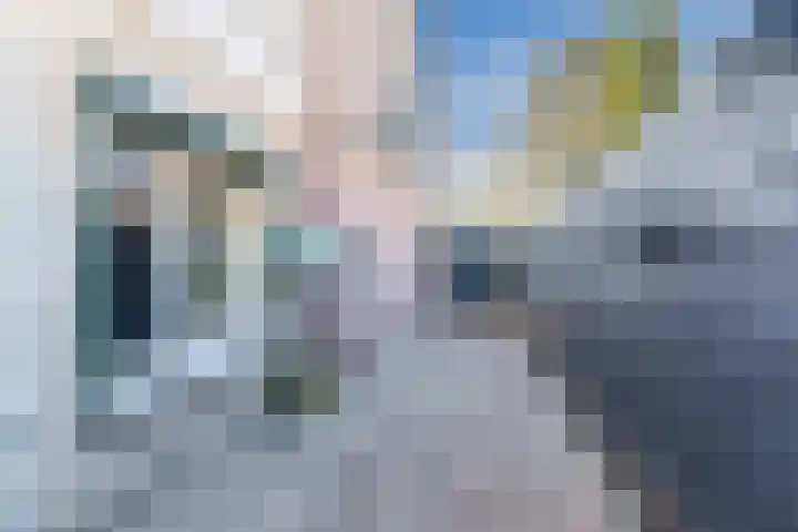 van Bossehof 20 Rijen thumbnail 25