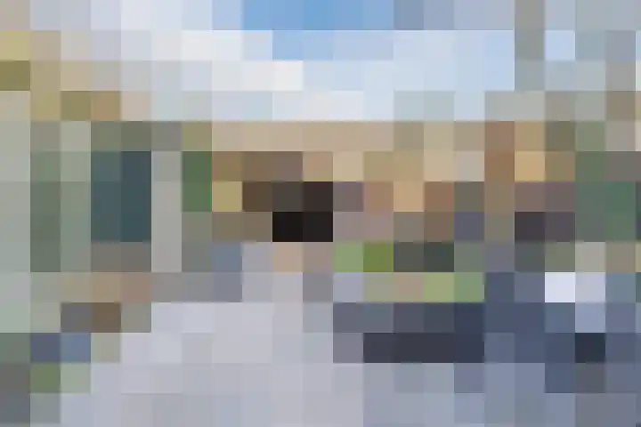 van Bossehof 20 Rijen thumbnail 4