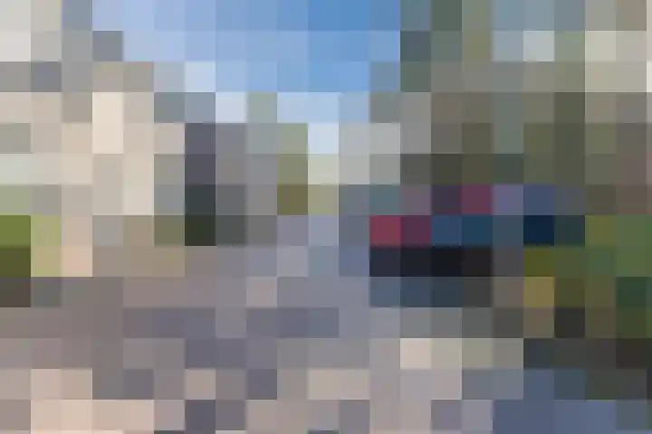van Bossehof 20 Rijen thumbnail 41