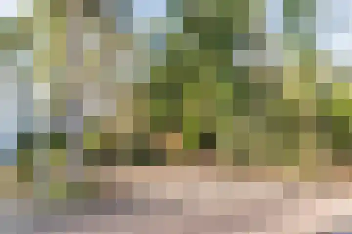 van Bossehof 20 Rijen thumbnail 42