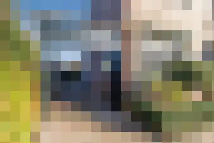 van Bossehof 20 Rijen thumbnail 7