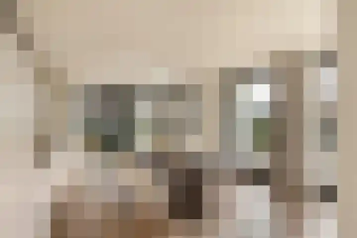 Van Bossepad 3 in Amsterdam